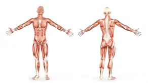 Bodylab Intro zima 2015