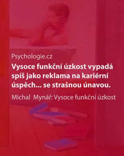 Vysoce funkční úzkost