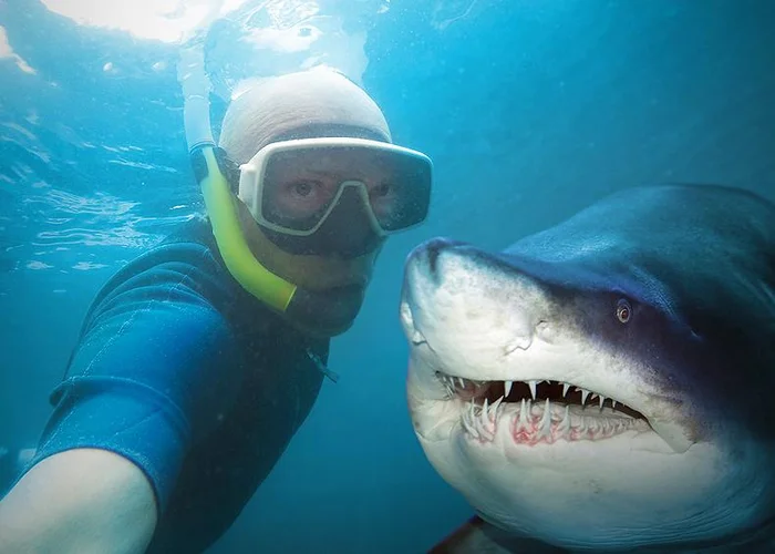 Selfie pro zdraví