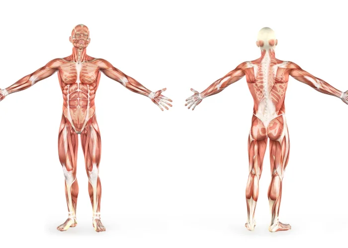 Bodylab Intro zima 2015