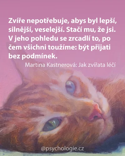 Jak zvířata léčí