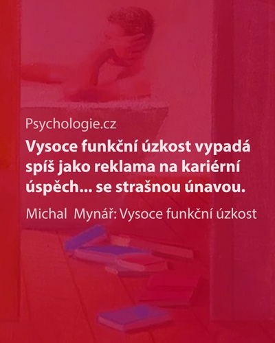 Vysoce funkční úzkost