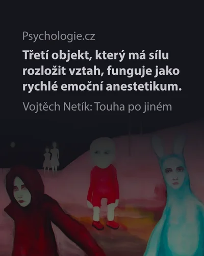 Touha po jiném