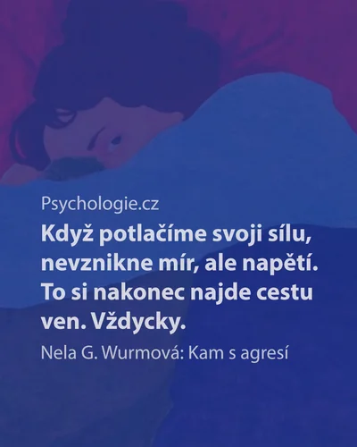 Kam s agresí