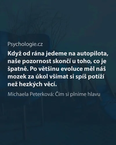 Čím si plníme hlavu