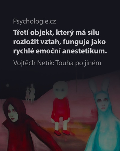 Touha po jiném