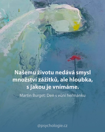 Den s vůní heřmánku