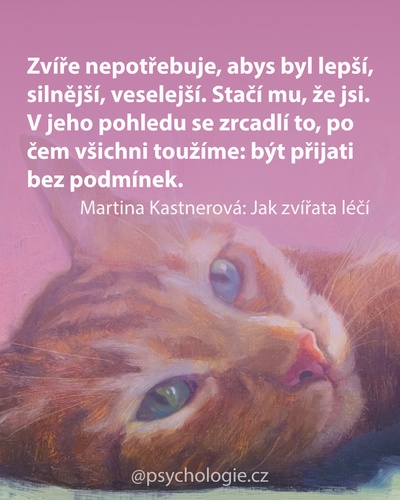 Jak zvířata léčí
