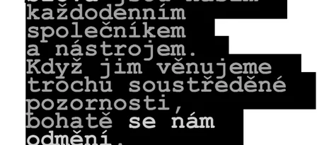 Kreativní psaní a sebepoznání