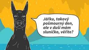 Obléct košili šťastného člověka