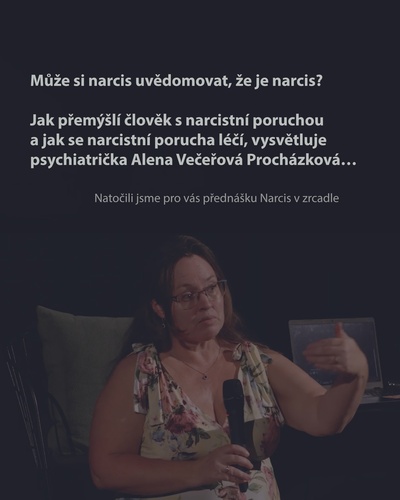 Narcis v zrcadle
