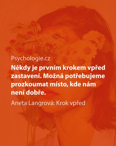 Krok vpřed
