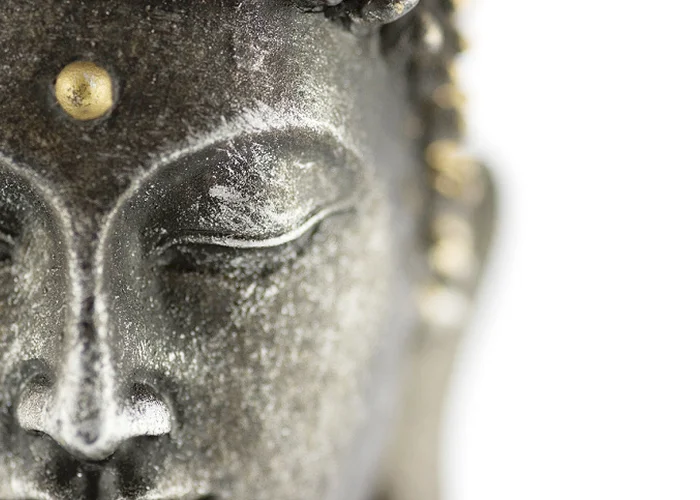 Meditace vhledu a terapie sebe-poznáním