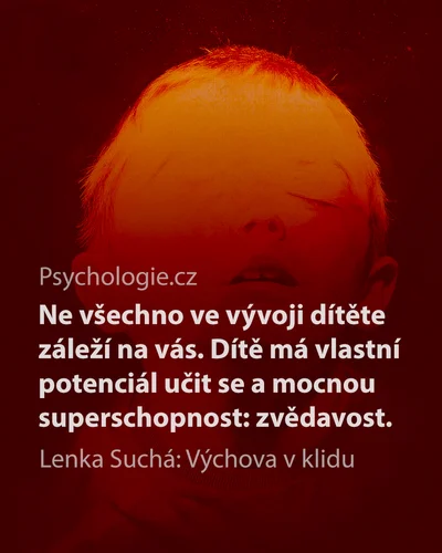 Výchova v klidu