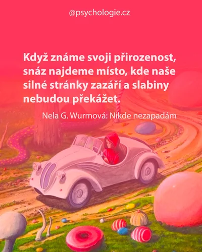 Nikde nezapadám
