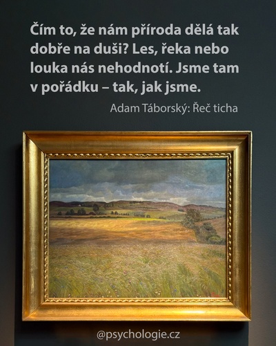 Řeč ticha