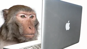 Přátelství off-line i on-line