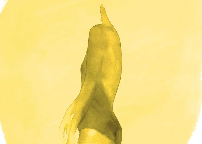Dieta z nitra