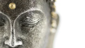 Meditace vhledu a terapie sebe-poznáním