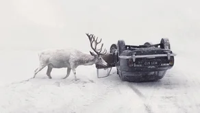 Перша емоційна допомога
