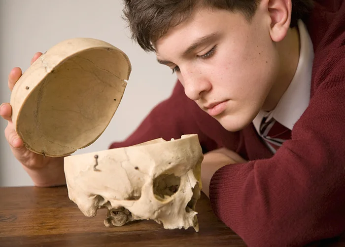 Anatomie změny