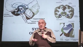 Významné psychologické pokusy, 1. část