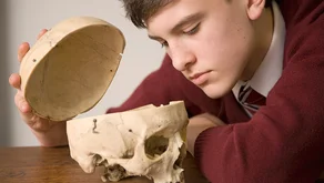 Anatomie změny