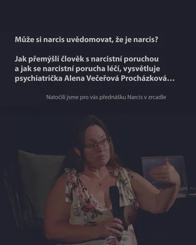 Narcis v zrcadle