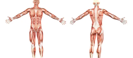 Bodylab Intro zima 2015