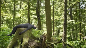 Proč prahneme po zážitcích?